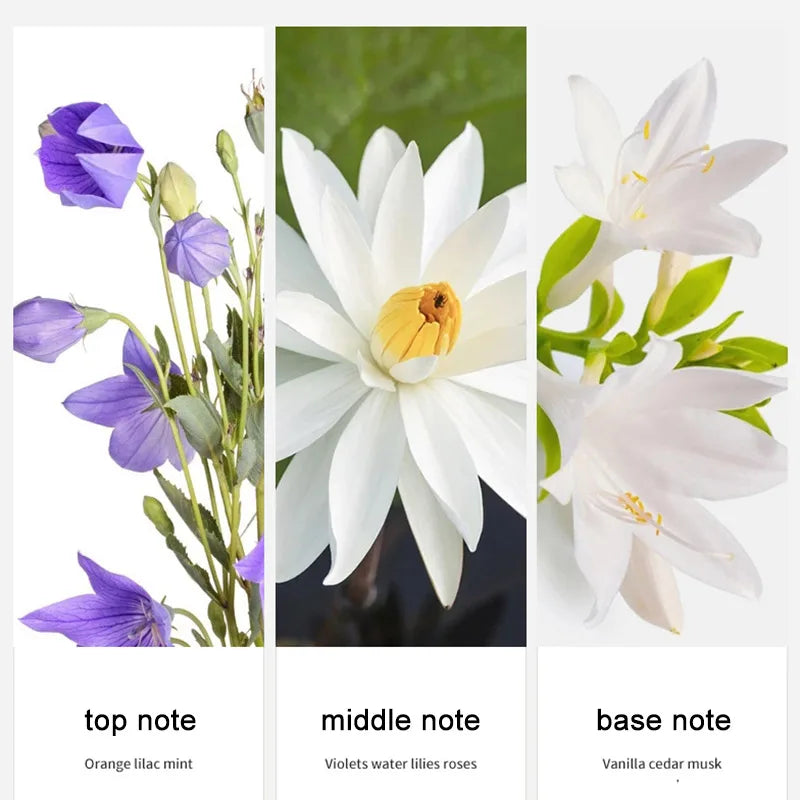 Brand Floral Fragrance Women's Perfume Set Long-lasting Light Fragrance Fresh Charming Kiss Gift Box Flower Of Story Sexy Spray
