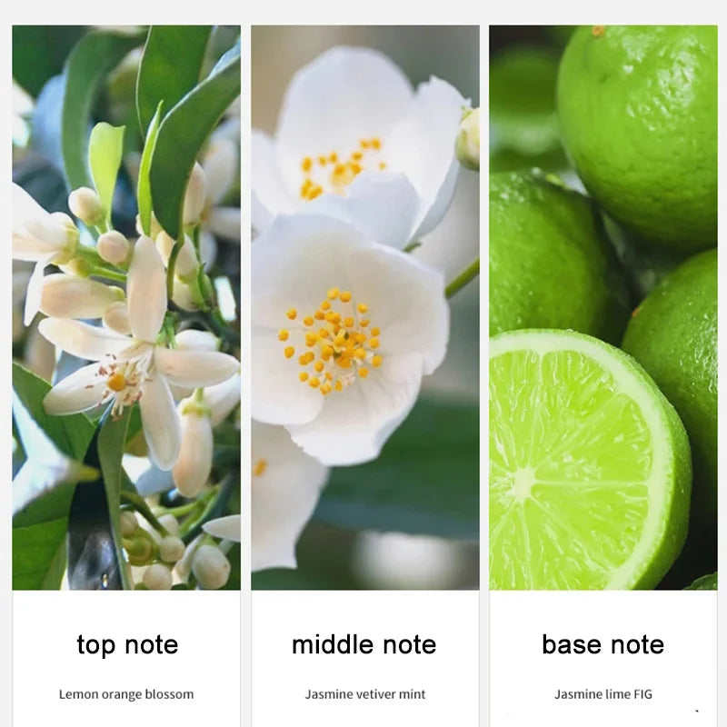 Brand Floral Fragrance Women's Perfume Set Long-lasting Light Fragrance Fresh Charming Kiss Gift Box Flower Of Story Sexy Spray